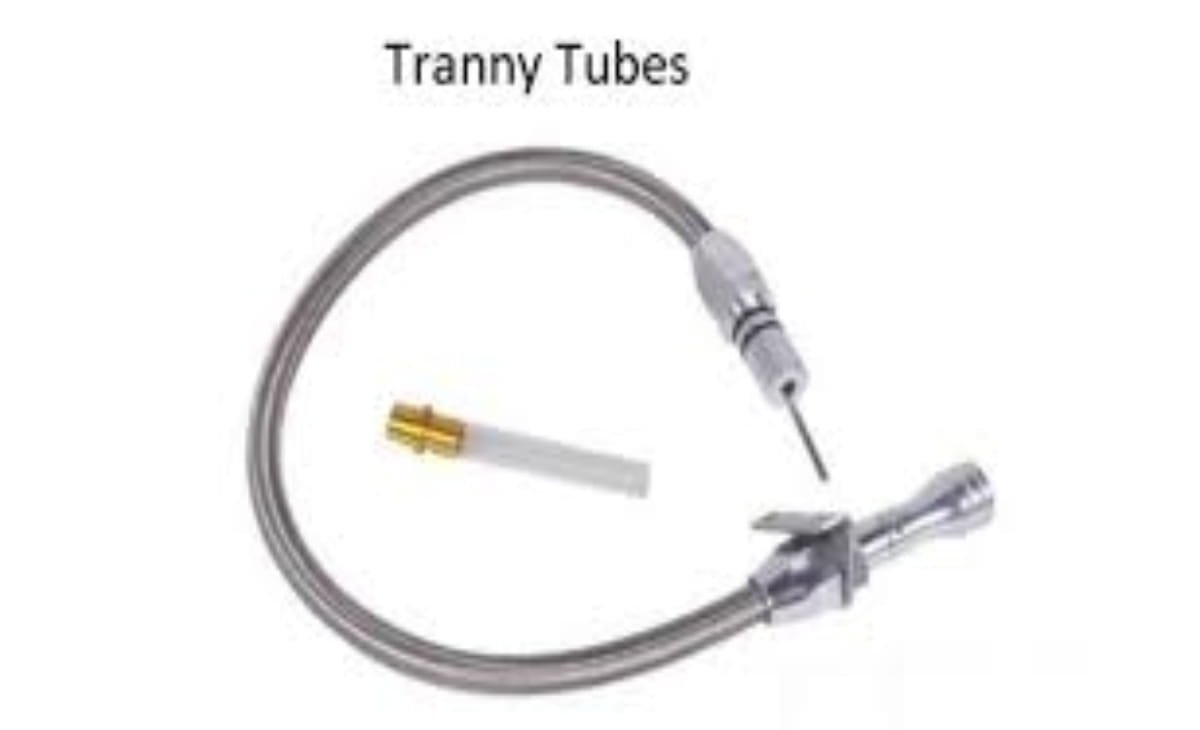 tran ny tube